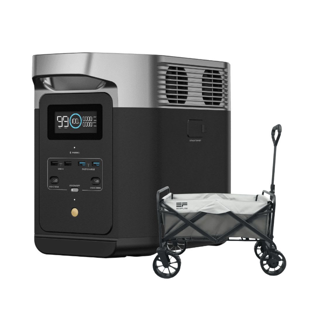 Delta 2 + Carro de transporte