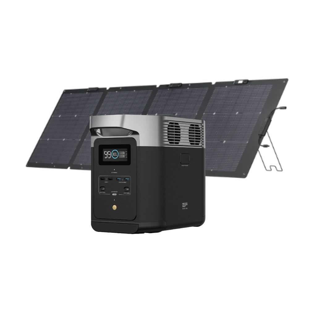 Delta 2 + Panel Solar Bifacial 220 W