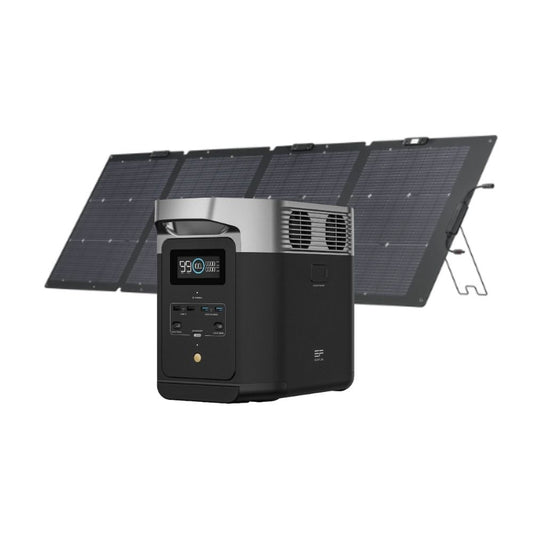 Delta 2 + Panel Solar Bifacial 220 W